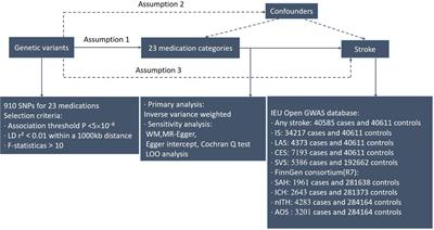 Twenty-three medication-taking traits and stroke: A comprehensive Mendelian randomization study